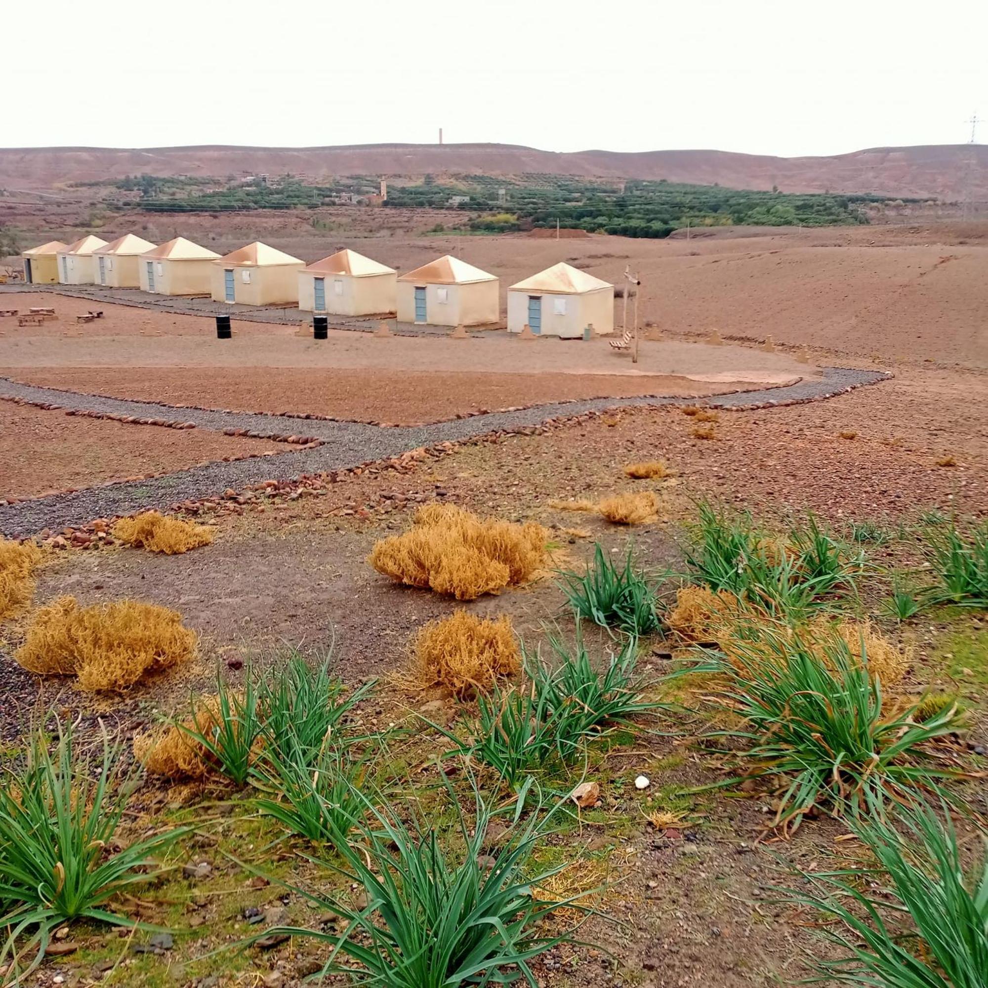 Ngayan Camp Hotel Taïzelt Eksteriør billede